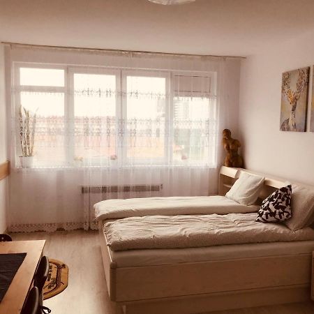 Studio 1O1O1 Apartment Piatra Neamt Luaran gambar