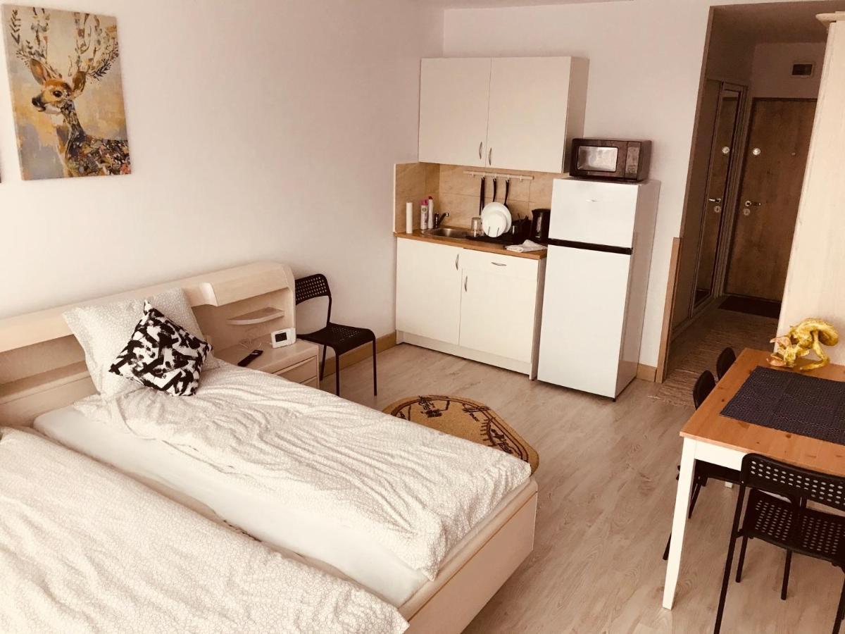 Studio 1O1O1 Apartment Piatra Neamt Luaran gambar